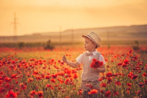 A portrait of a boy in poppies at sunset for Remembrance Day.