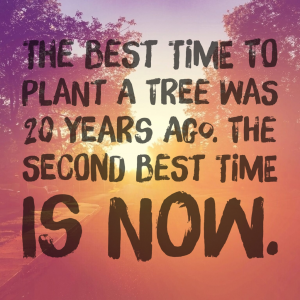 The best time to plant a tree was 20 years ago, the second best time is now